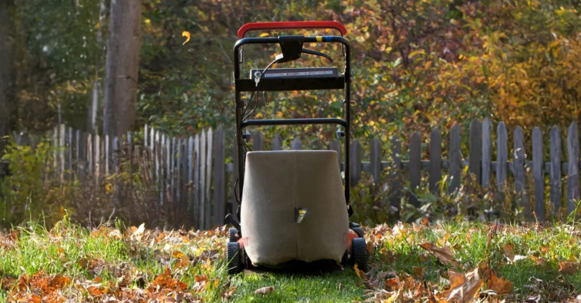 Fall Leaf Cleanup Tips for Colorado Landscapes